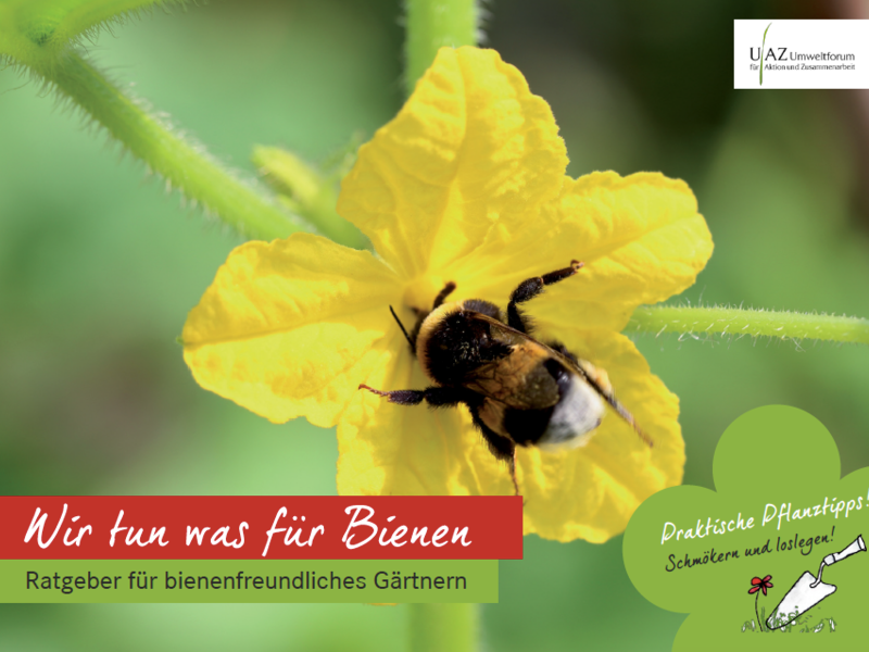 Ratgeberbroschüre „Wir tun was für Bienen“, Cover