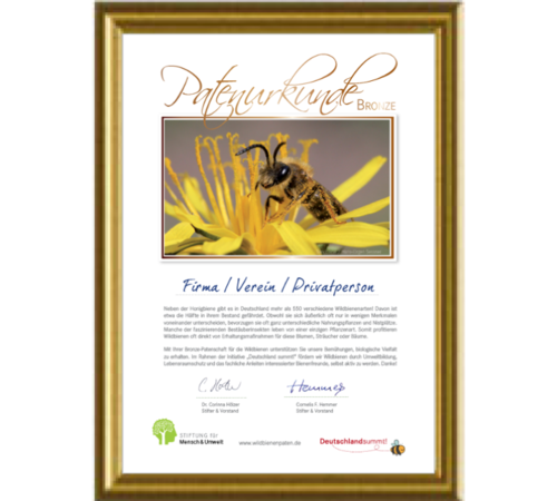 Wildbienenpatenschaft „Bronze-Patenschaft“