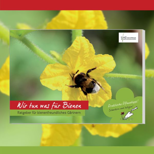 Cover: Broschüre „Bienenfreundlich Gärtnern – Der Kleine Ratgeber“