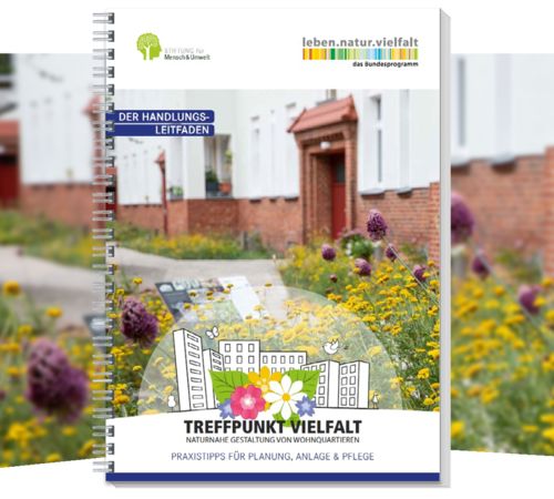 Cover: „Treffpunkt Vielfalt – Naturnahe Gestaltung von Wohnquartieren“ – Der Handlungsleitfaden