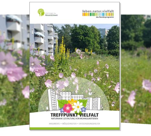 Cover: Broschüre „Broschüre „Treffpunkt Vielfalt – Naturnahe Gestaltung von Wohnquartieren; Argumente, Möglichkeiten, Entscheidungshilfen““