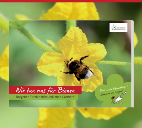 Cover: Broschüre „Wir tun was für Bienen – Ratgeber für bienenfreundliches Gärtnern“