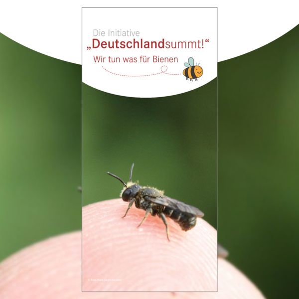 Cover: Folder „Deutschland summt!“